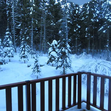 Apartment Flora Violet Nr 10 Borowez