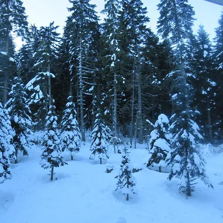 Flora Violet Nr 10 Apartment *