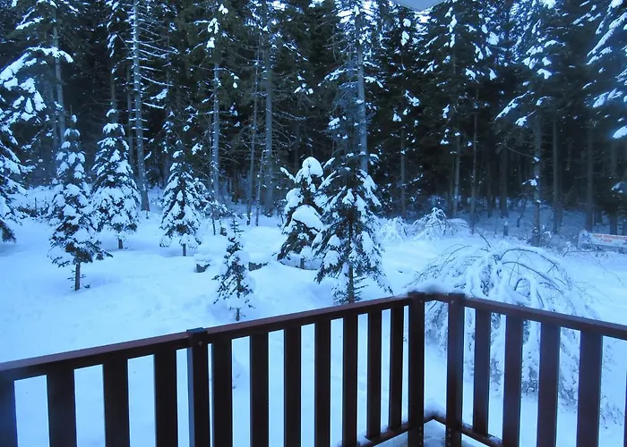 Apartamento Flora Violet Nr 10 Borovets