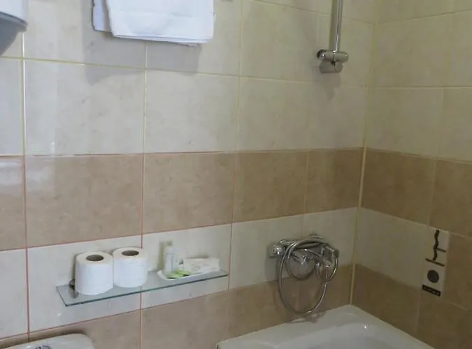 Flora Violet Nr 10 Borovets